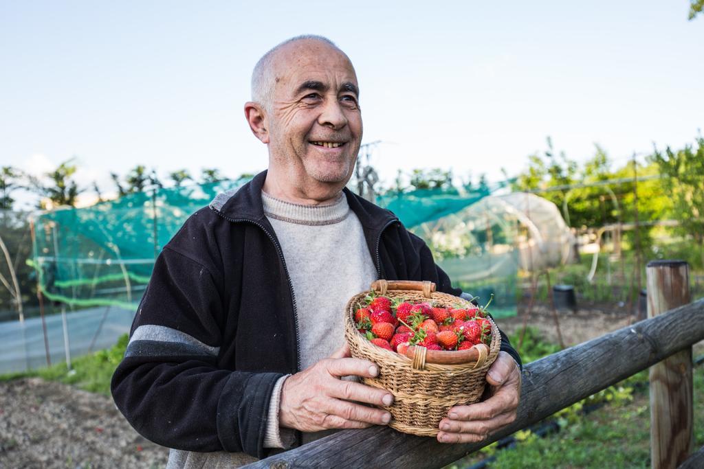 Cascina Arcangelo Raffaele Verduno Extérieur photo